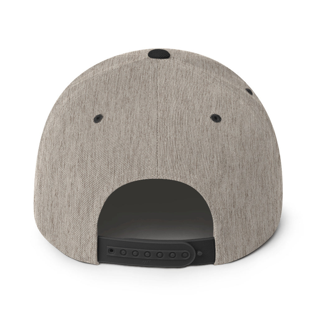 PURPE - Snapback Hat