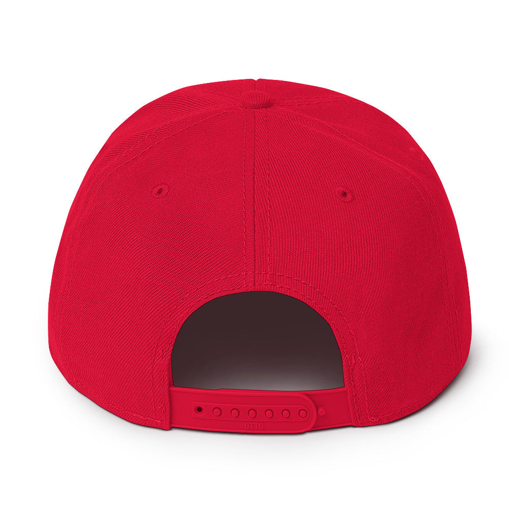 Trumpamania - Snapback Hat